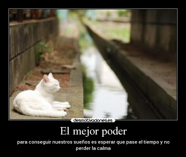 El mejor poder - para conseguir nuestros sueños es esperar que pase el tiempo y no perder la calma
