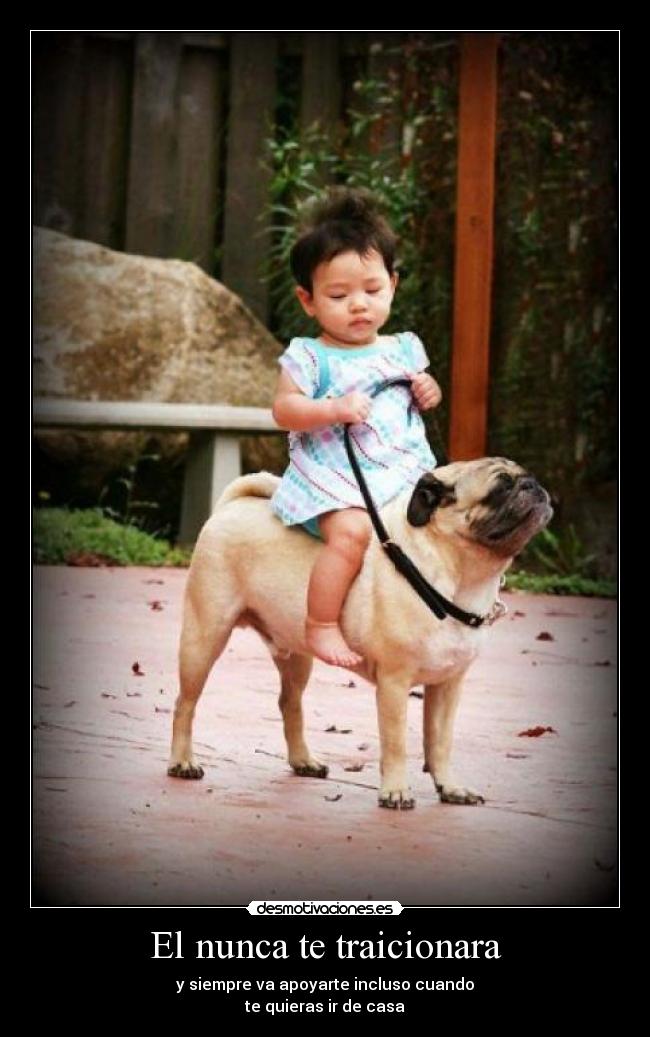 El nunca te traicionara - y siempre va apoyarte incluso cuando
te quieras ir de casa