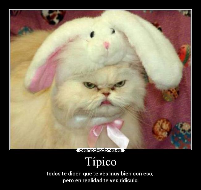 Típico - todos te dicen que te ves muy bien con eso,
pero en realidad te ves rídiculo.