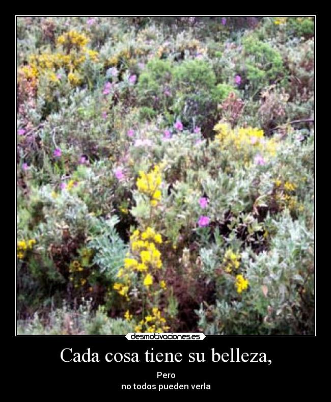 carteles belleza desmotivaciones