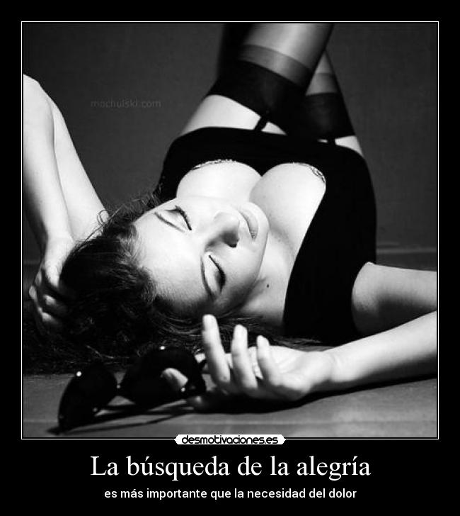 La búsqueda de la alegría -