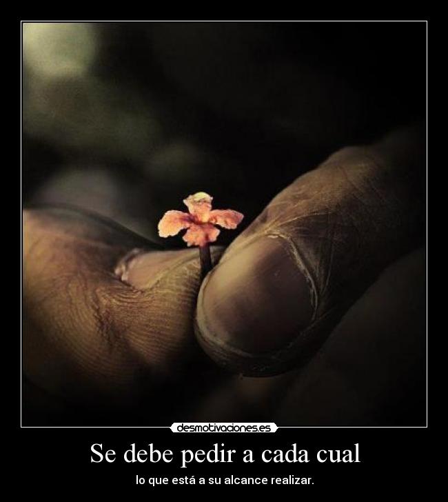 Se debe pedir a cada cual -