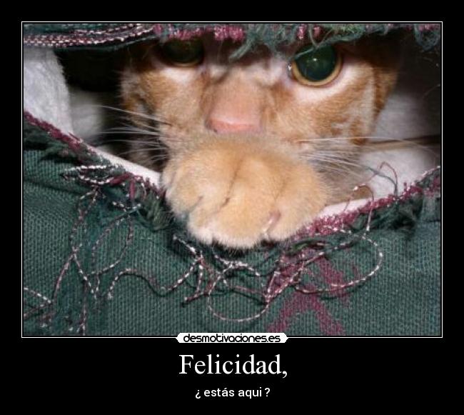 Felicidad, -