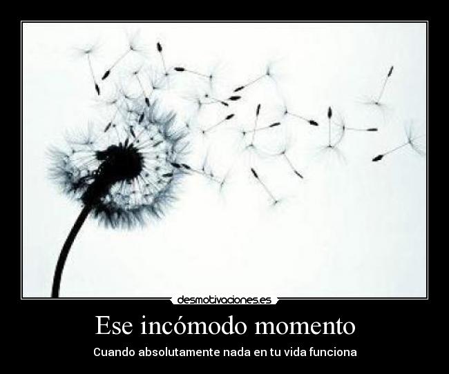 Ese incómodo momento - 