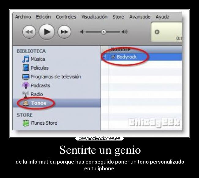 Sentirte un genio - de la informática porque has conseguido poner un tono personalizado en tu iphone.