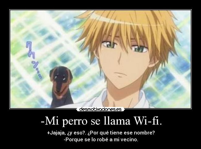 carteles anime perro llama wifi por tambien robado desmotivaciones