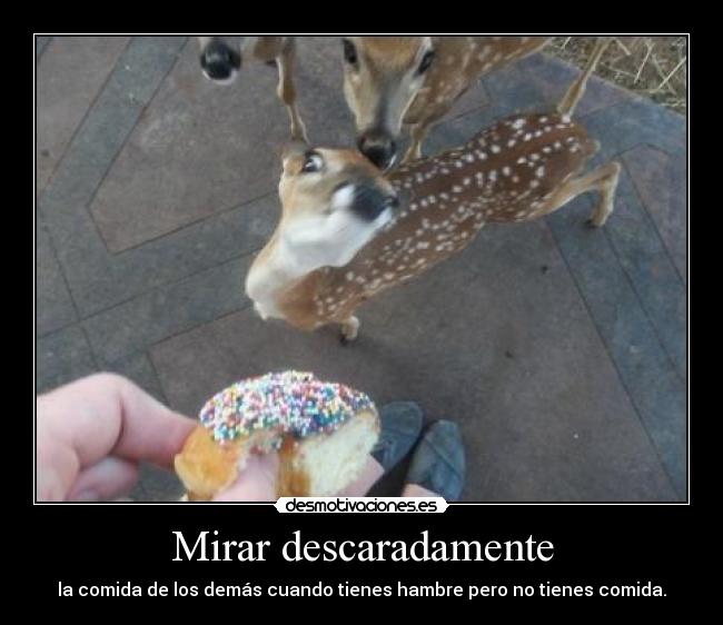 carteles que cara desmotivaciones