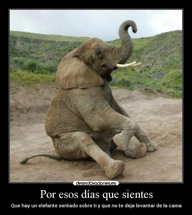 Por esos días que sientes - Que hay un elefante sentado sobre ti y que no te deja levantar de la cama