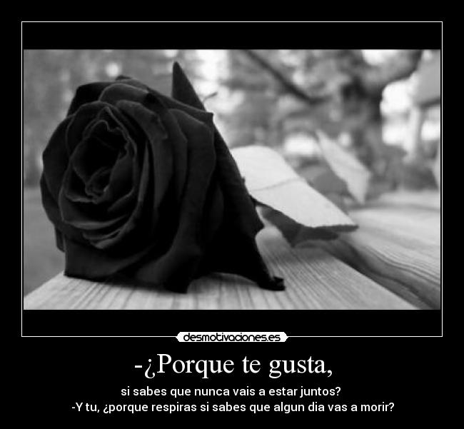 -¿Porque te gusta, - si sabes que nunca vais a estar juntos? 
-Y tu, ¿porque respiras si sabes que algun dia vas a morir?