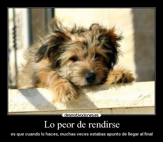 Lo peor de rendirse - es que cuando lo haces, muchas veces estabas apunto de llegar al final