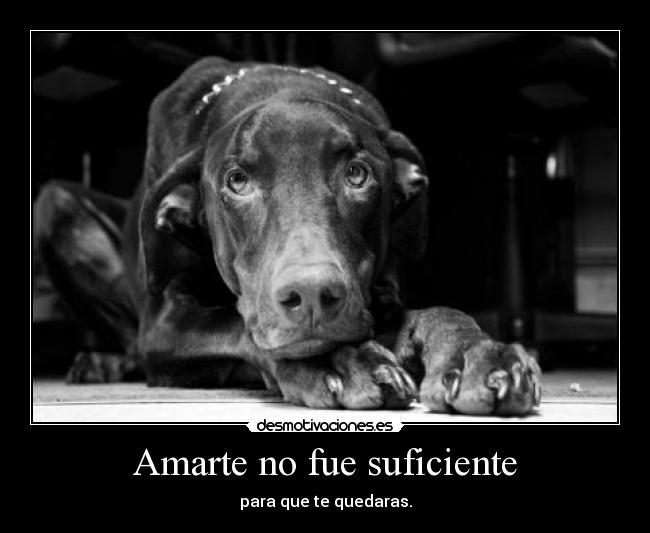 Amarte no fue suficiente - para que te quedaras.