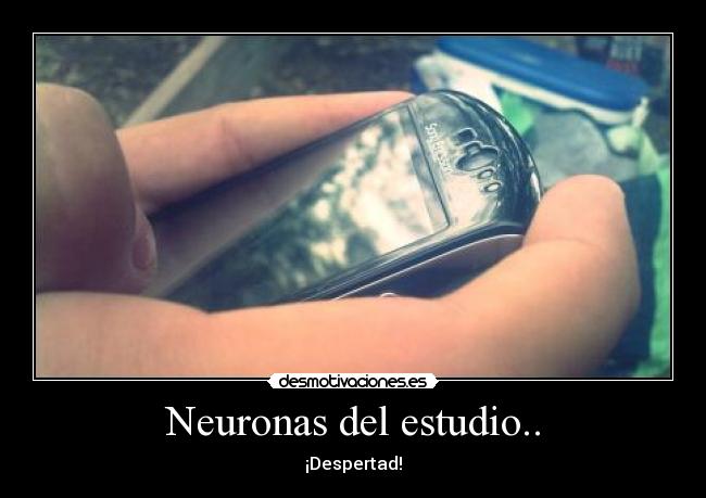 Neuronas del estudio.. - ¡Despertad!