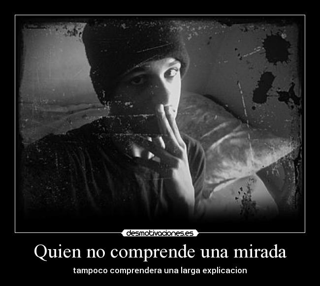 Quien no comprende una mirada - tampoco comprendera una larga explicacion