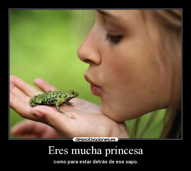 Eres mucha princesa - como para estar detrás de ese sapo.
