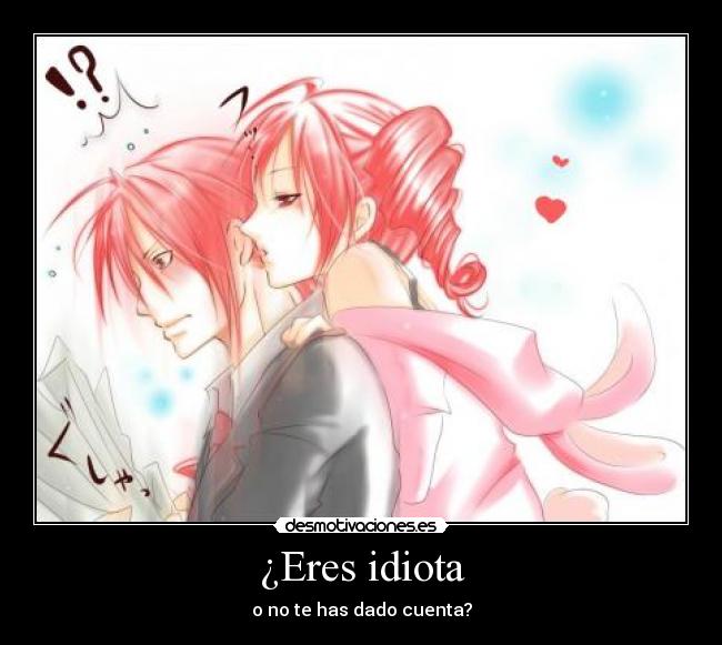 ¿Eres idiota - o no te has dado cuenta?