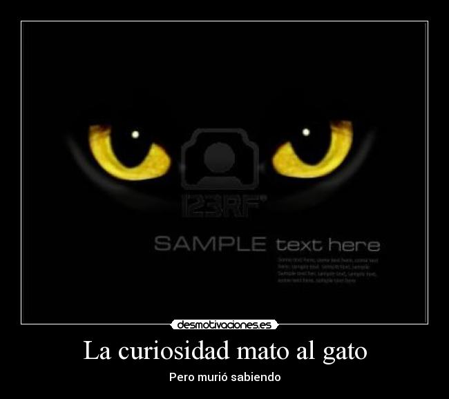 La curiosidad mato al gato - Pero murió sabiendo