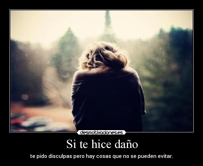 Si te hice daño - 