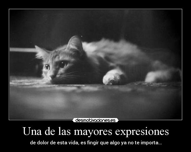 Una de las mayores expresiones -