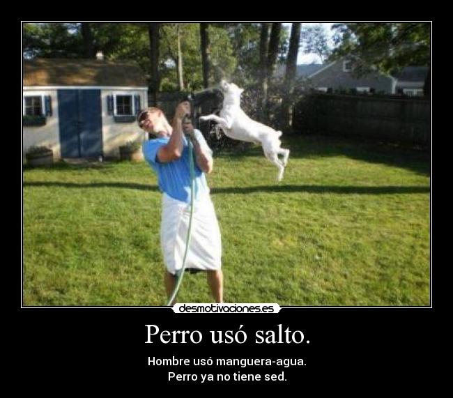 Perro usó salto. -