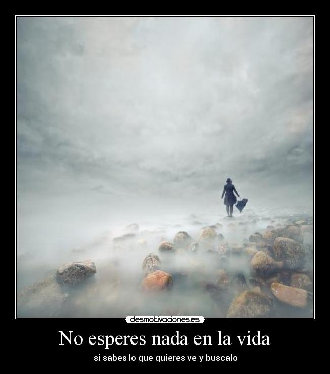 No esperes nada en la vida - si sabes lo que quieres ve y buscalo