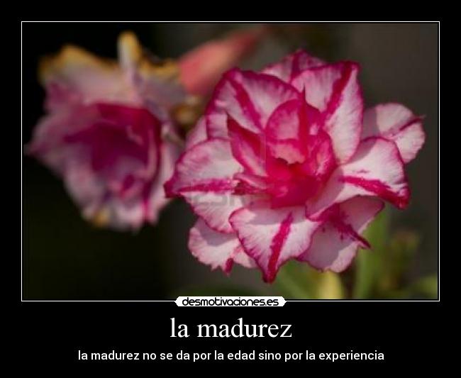 la madurez - 