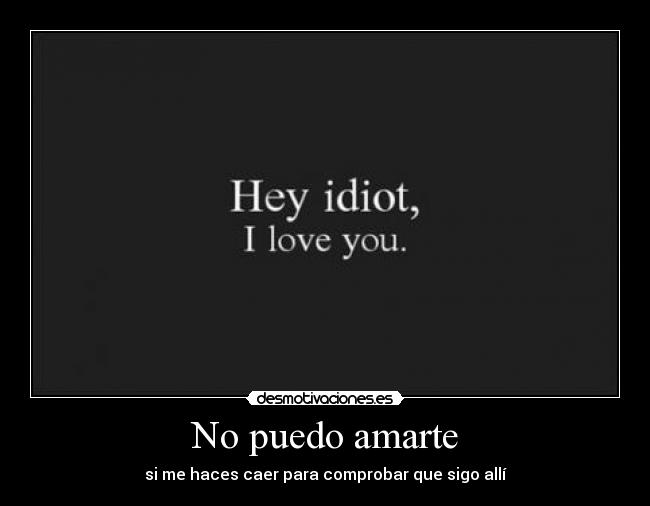 No puedo amarte -