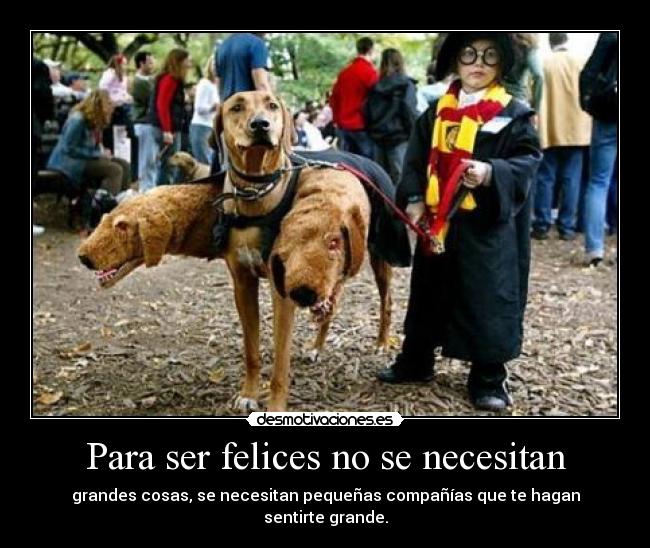 Para ser felices no se necesitan - grandes cosas, se necesitan pequeñas compañías que te hagan sentirte grande.