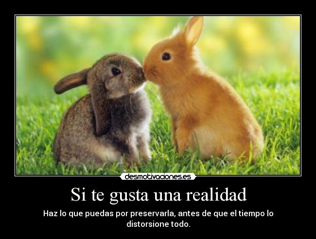 Si te gusta una realidad - Haz lo que puedas por preservarla, antes de que el tiempo lo distorsione todo.