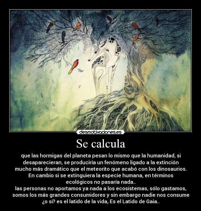 Se calcula - que las hormigas del planeta pesan lo mismo que la humanidad, si
desaparecieran, se produciría un fenómeno ligado a la extinción
mucho más dramático que el meteorito que acabó con los dinosaurios.
En cambio si se extinguiera la especie humana, en términos
ecológicos no pasaría nada..
las personas no aportamos ya nada a los ecosistemas, sólo gastamos,
somos los más grandes consumidores y sin embargo nadie nos consume
¿o si? es el latido de la vida, Es el Latido de Gaia..