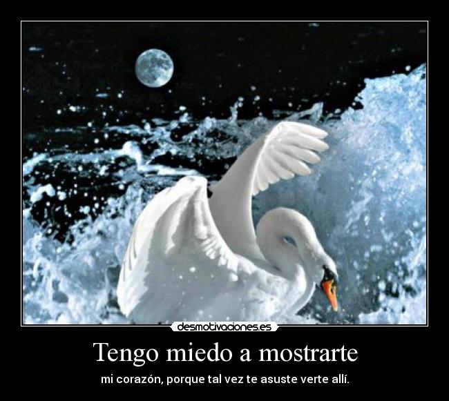 Tengo miedo a mostrarte - mi corazón, porque tal vez te asuste verte allí.