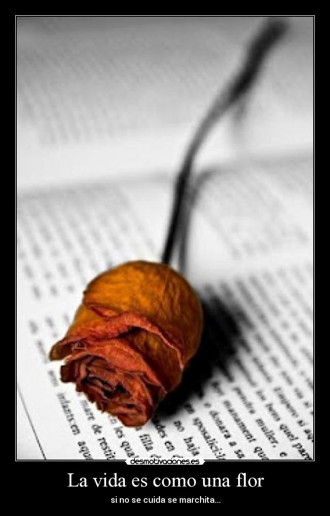 La vida es como una flor - si no se cuida se marchita...