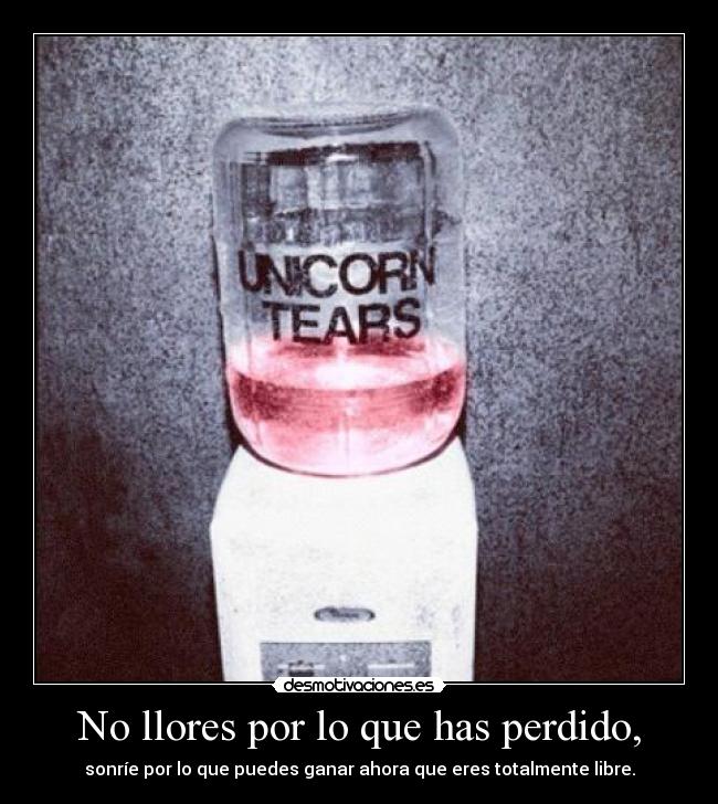No llores por lo que has perdido, -