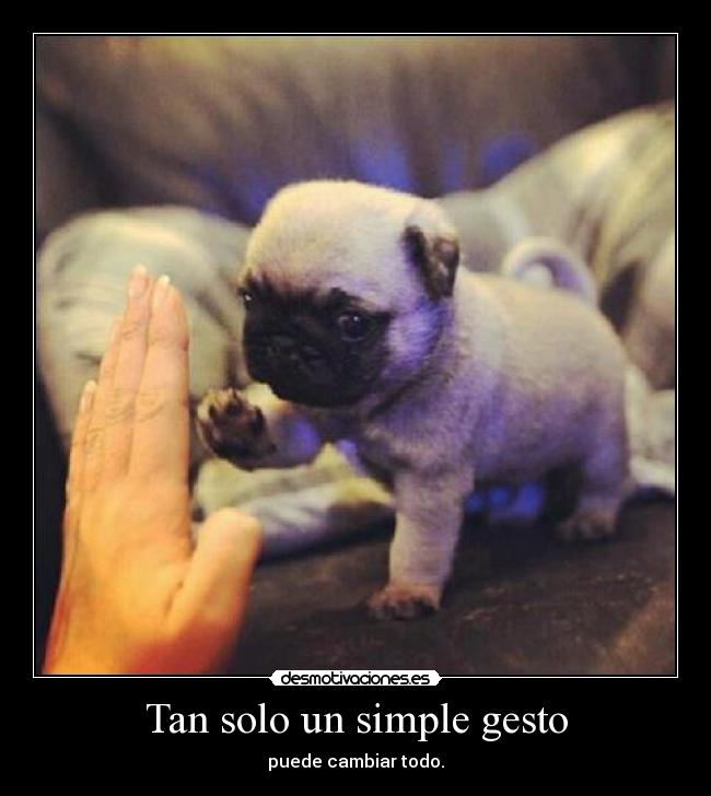 carteles vida desmotivaciones