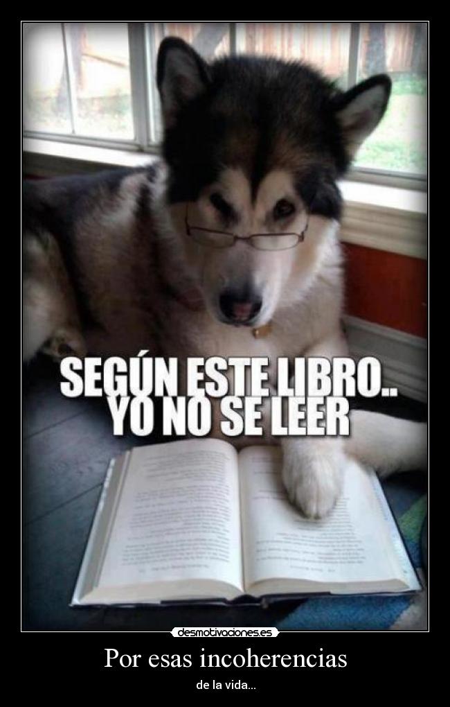 Por esas incoherencias - de la vida...