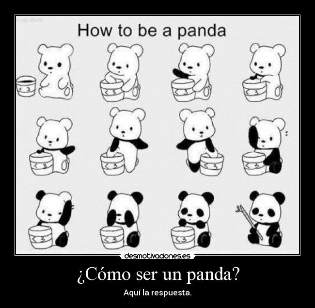 ¿Cómo ser un panda? - Aquí la respuesta.