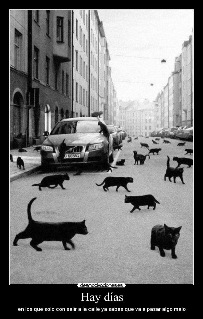 Hay días - 