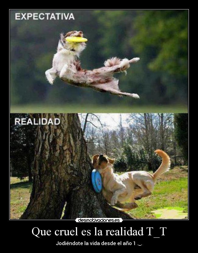 carteles realidad boleta cruel despiadada jodiendote vida desde desmotivaciones