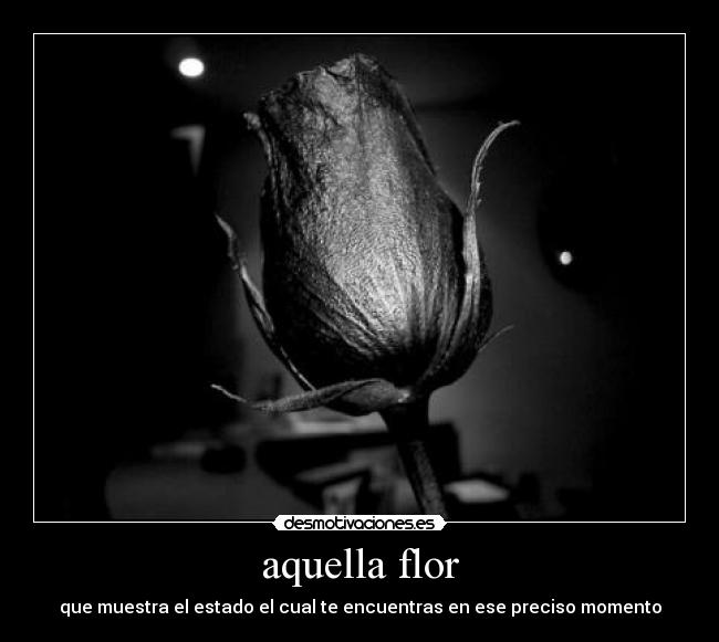 aquella flor - 