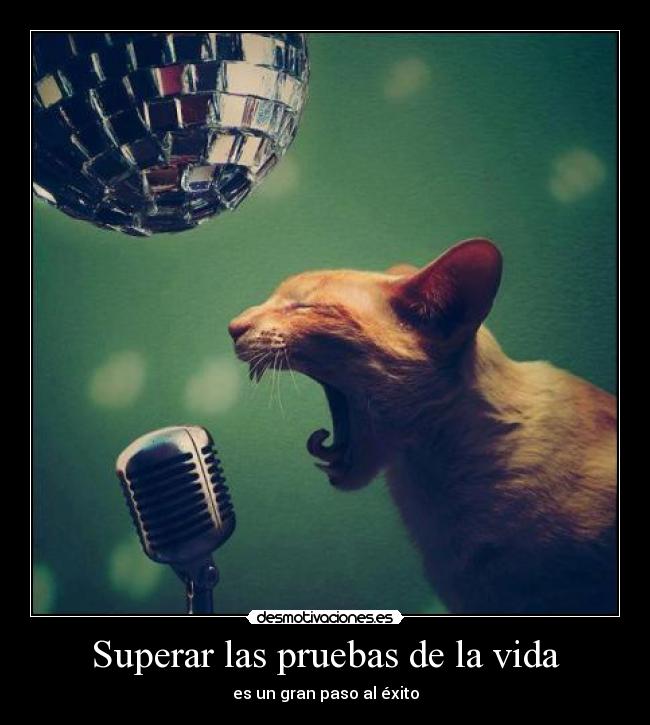 Superar las pruebas de la vida - 