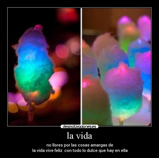 carteles vida karinita amor desmotivaciones