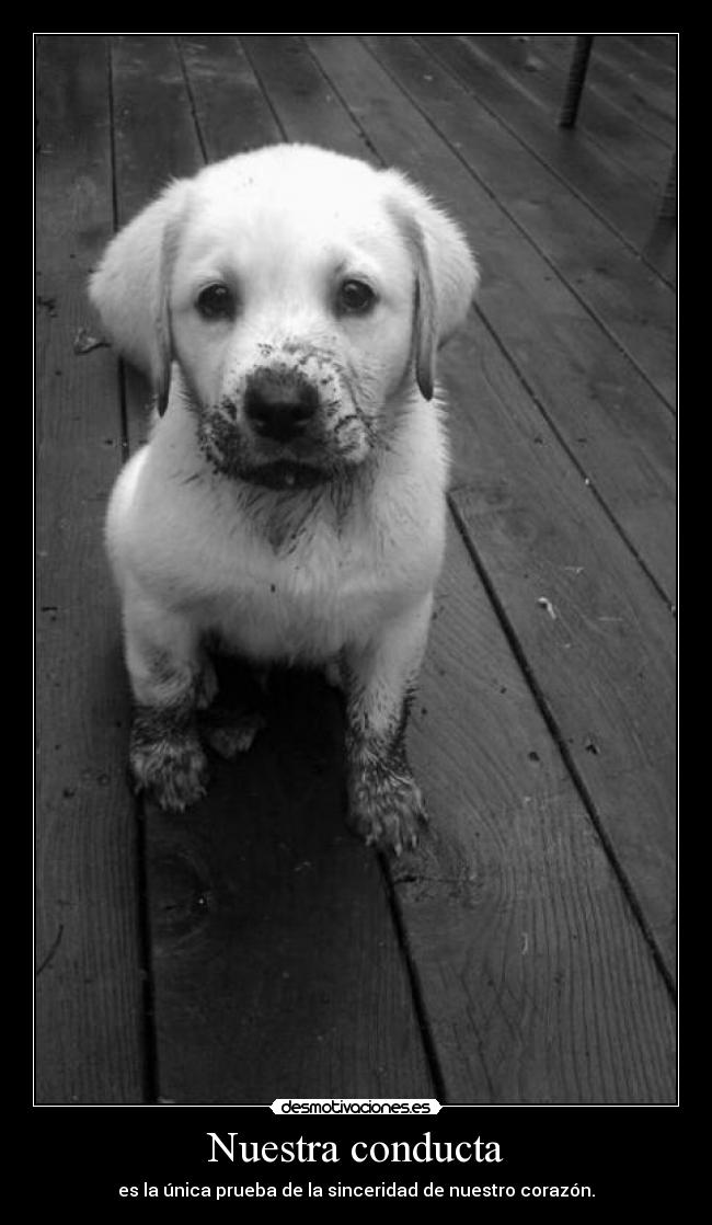 Nuestra conducta -