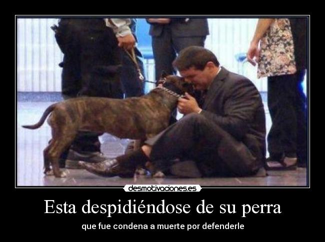 Esta despidiéndose de su perra -