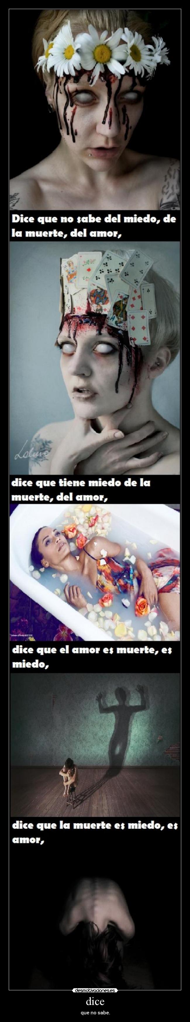 carteles amm alejandra pizarnik varios desmotivaciones