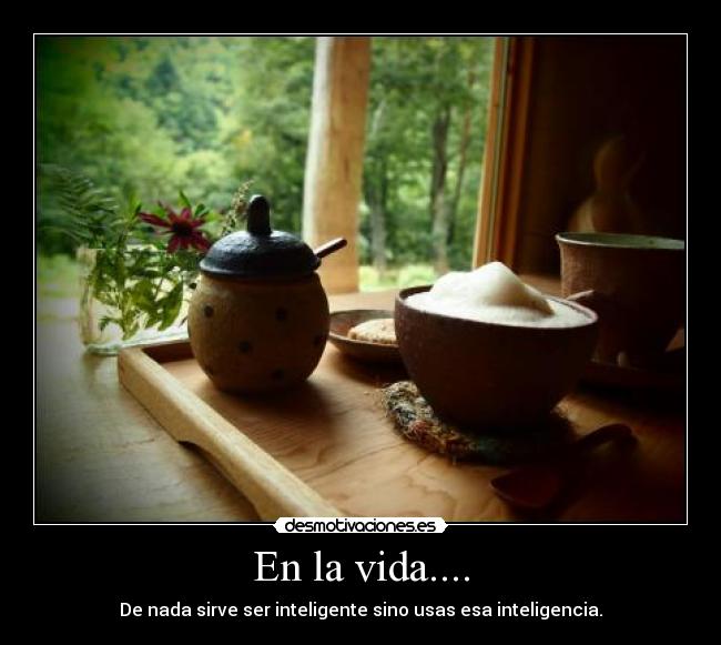 carteles vida jajaja desmotivaciones