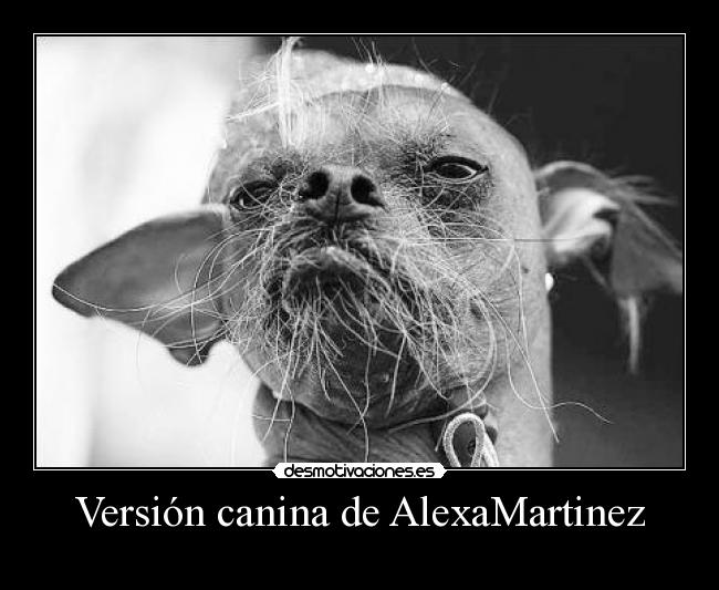 carteles anga1213 clandesplazado blackworld holaaaa hermosaa jajajaja desmotivaciones