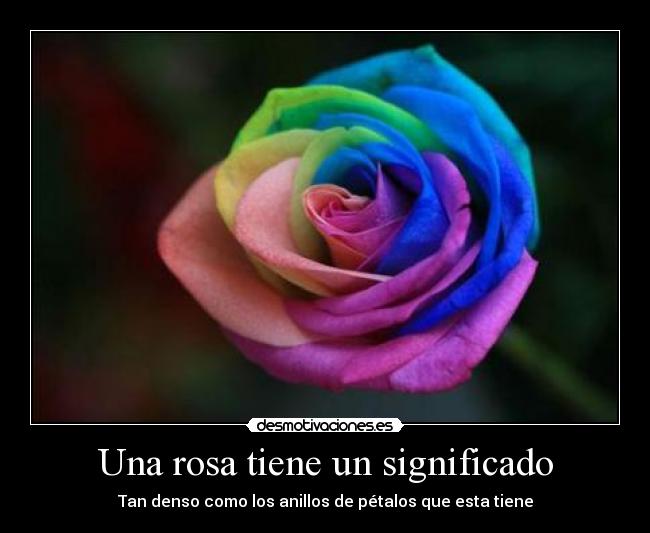 Una rosa tiene un significado - Tan denso como los anillos de pétalos que esta tiene