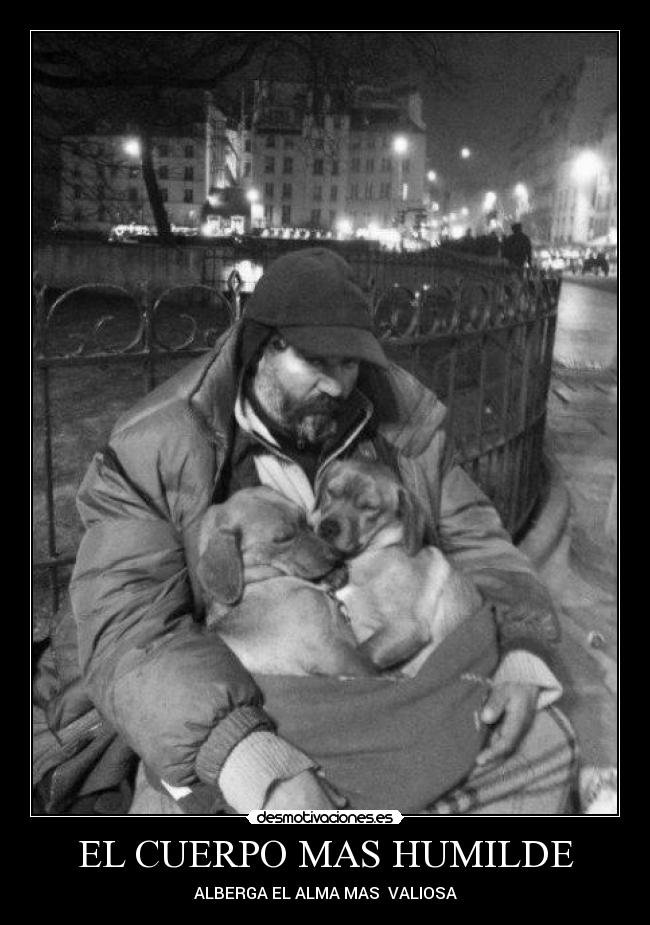 EL CUERPO MAS HUMILDE - ALBERGA EL ALMA MAS  VALIOSA