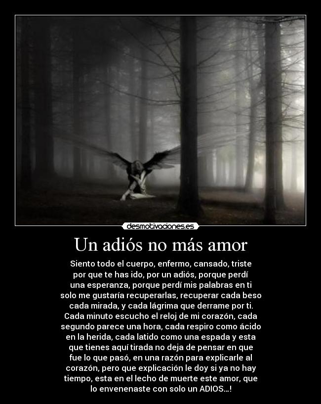 Un adiós no más amor - Siento todo el cuerpo, enfermo, cansado, triste
por que te has ido, por un adiós, porque perdí
una esperanza, porque perdí mis palabras en ti
solo me gustaría recuperarlas, recuperar cada beso
cada mirada, y cada lágrima que derrame por ti.
Cada minuto escucho el reloj de mi corazón, cada
segundo parece una hora, cada respiro como ácido
en la herida, cada latido como una espada y esta
que tienes aquí tirada no deja de pensar en que
fue lo que pasó, en una razón para explicarle al
corazón, pero que explicación le doy si ya no hay
tiempo, esta en el lecho de muerte este amor, que
lo envenenaste con solo un ADIOS…!