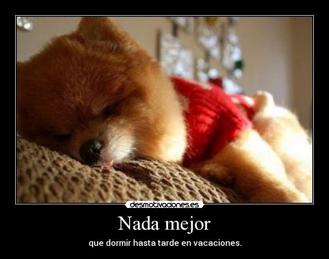Nada mejor - que dormir hasta tarde en vacaciones.