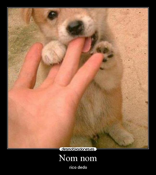 Nom nom - rico dedo